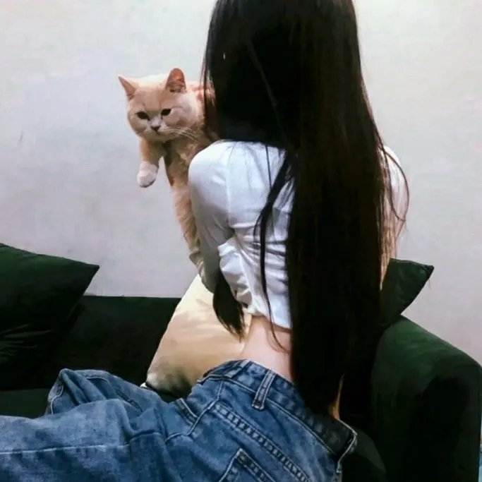 苏菲的世界